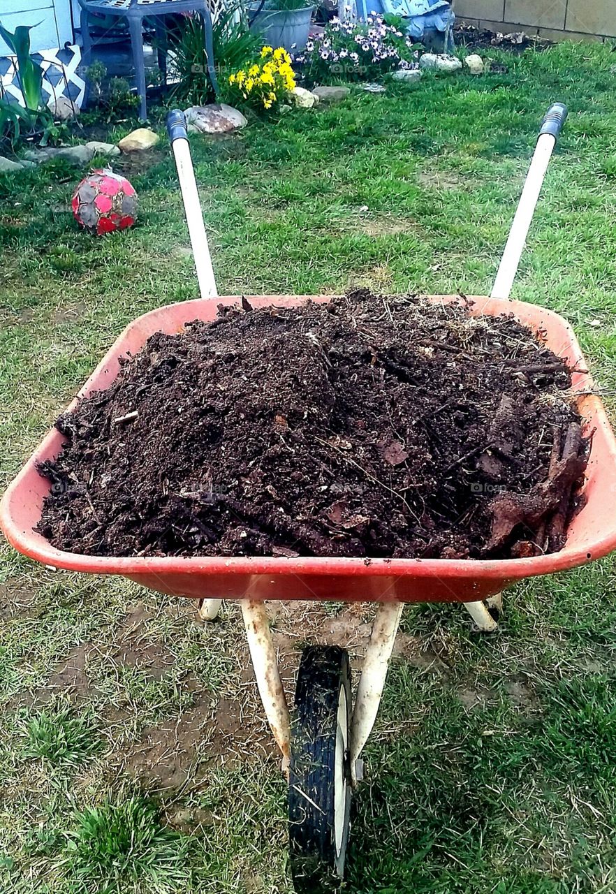 wheelbarrow. fresh soil made from composting