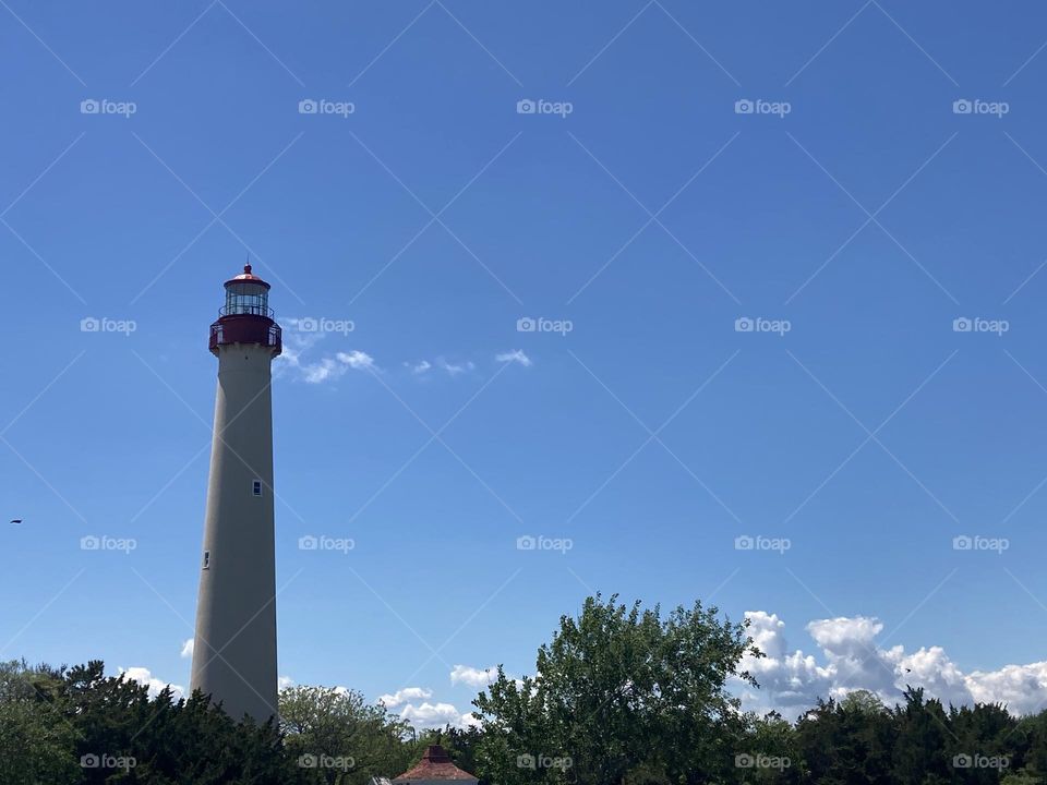 Lighthouse over the trees at a park