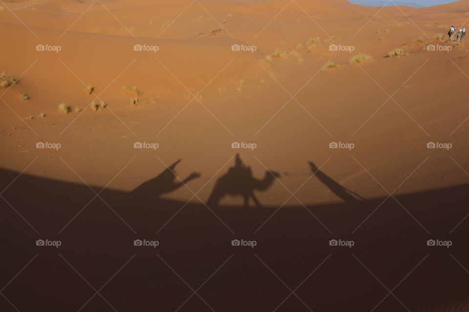 Merzouga Desert