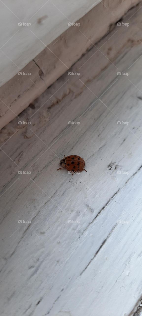 life inside the house during the winter