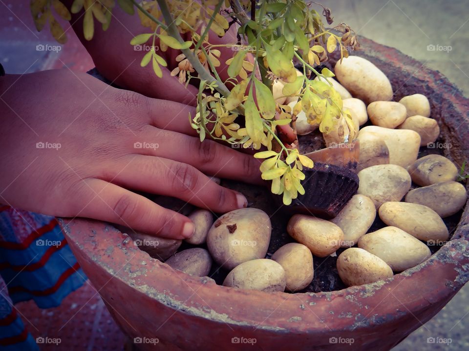 Gardening