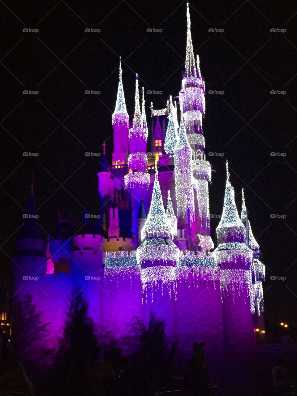 Walt Disney World Castle Magic Kingdom At Night