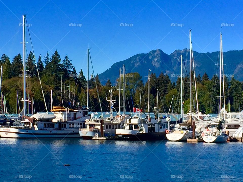 Vancouver Sailing