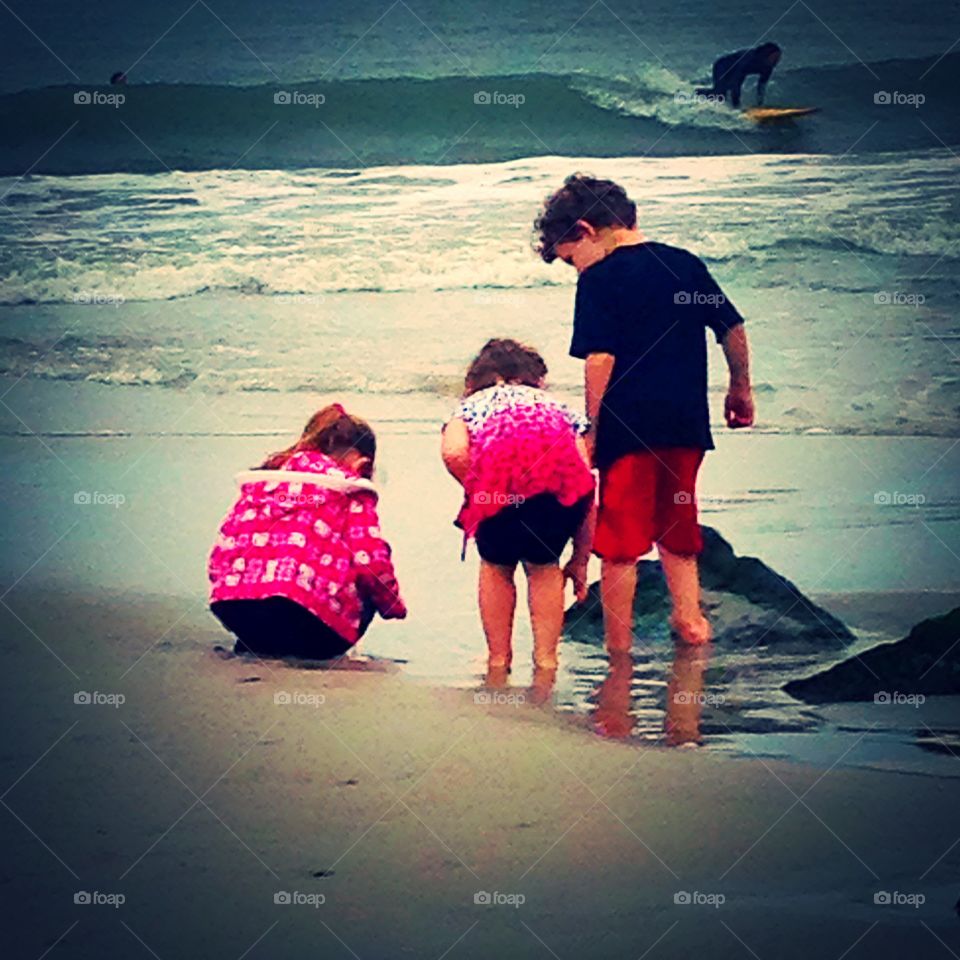 Adventure . Finding sea life and making memories 