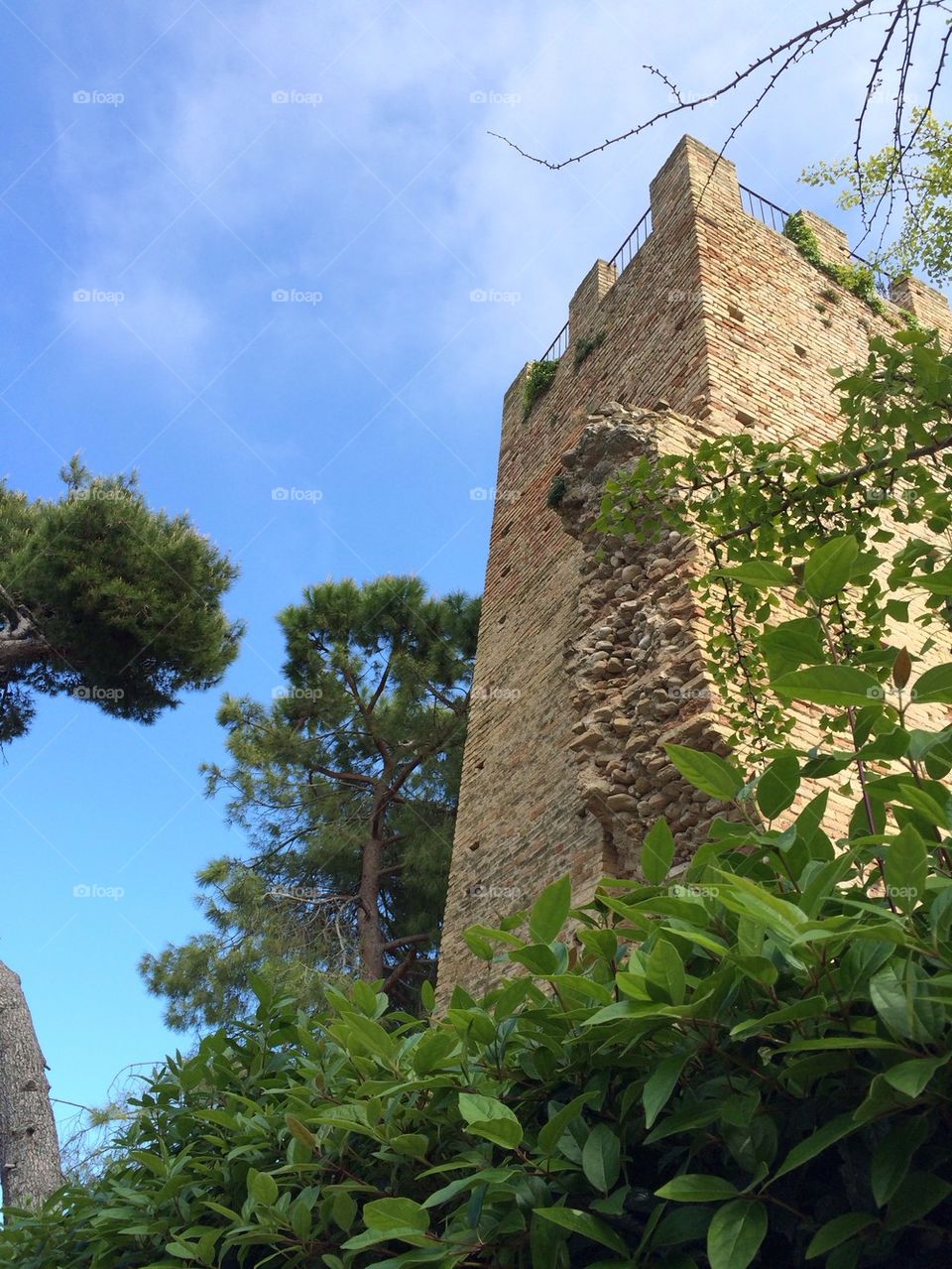 Old tower of Cupramarittima? Italy