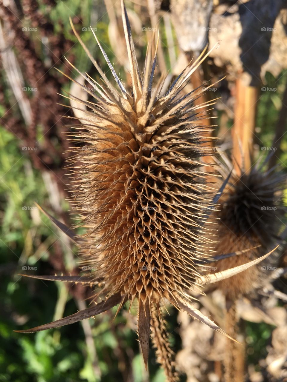 I don’t know what this is called