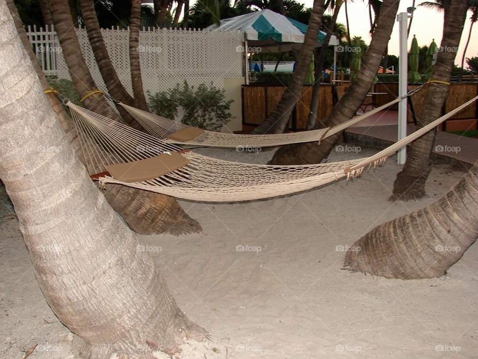 Enjoying evening at the beach