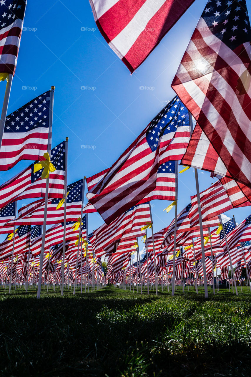 Field of Honor