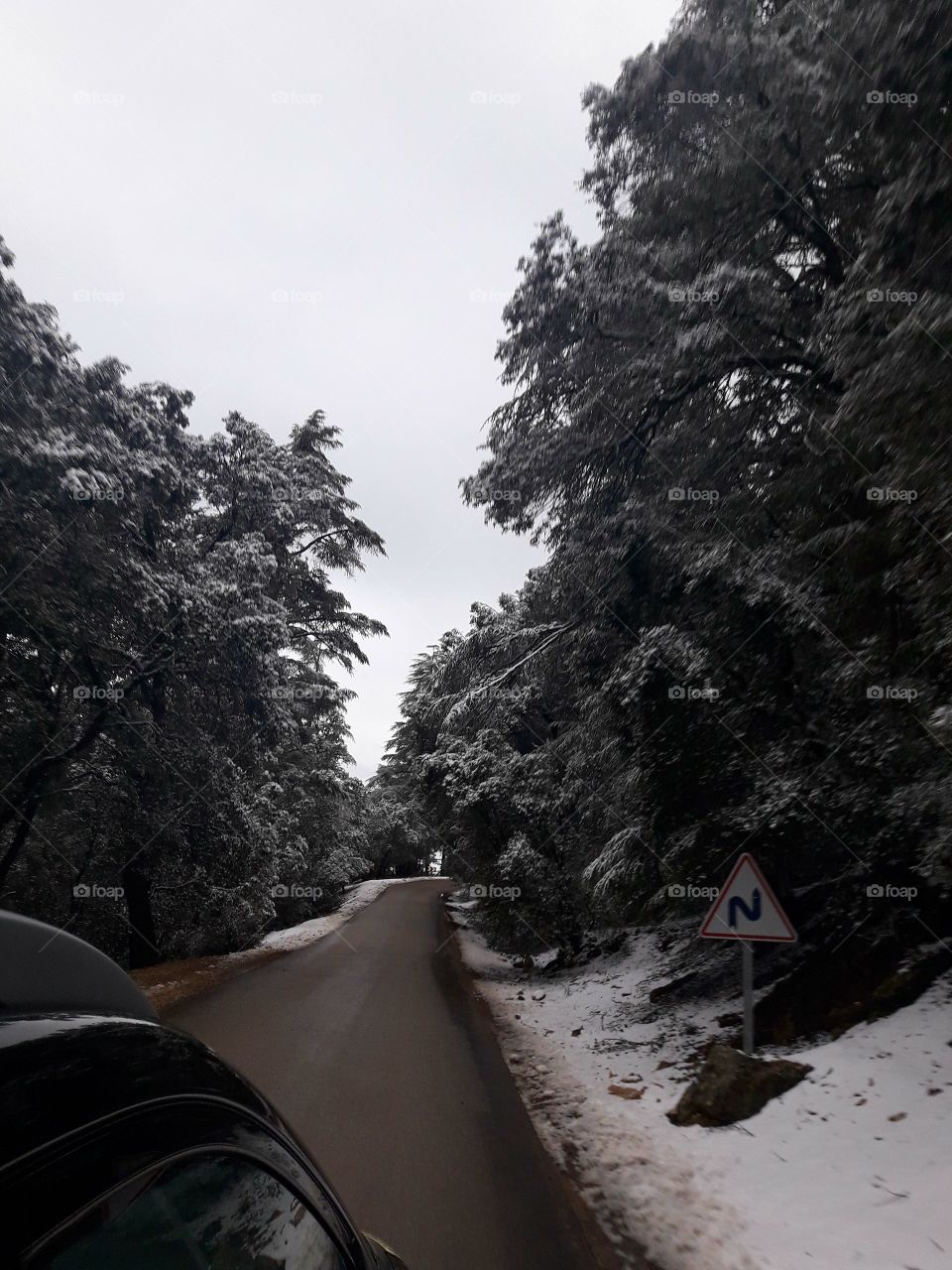 snow time... car trip... freezed road... ❄