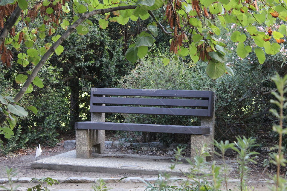 nature viewing bench. Northern California bird sanctuary