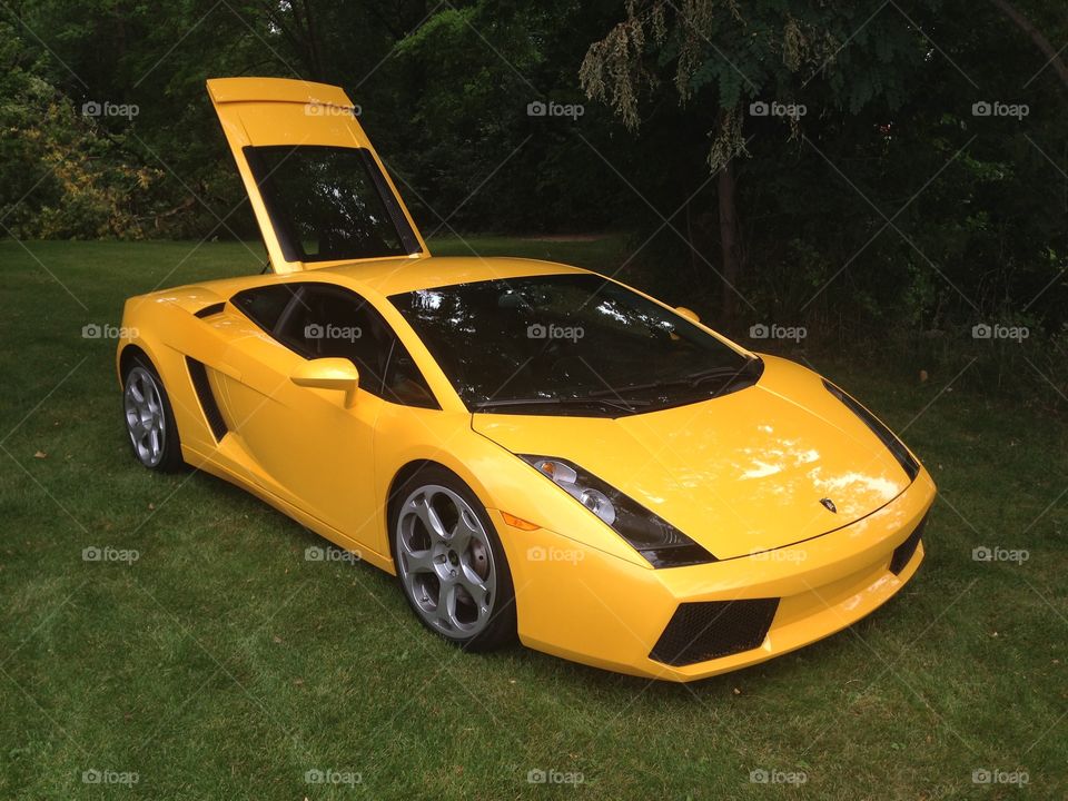 Lamborghini in the park. 
The lannon car show