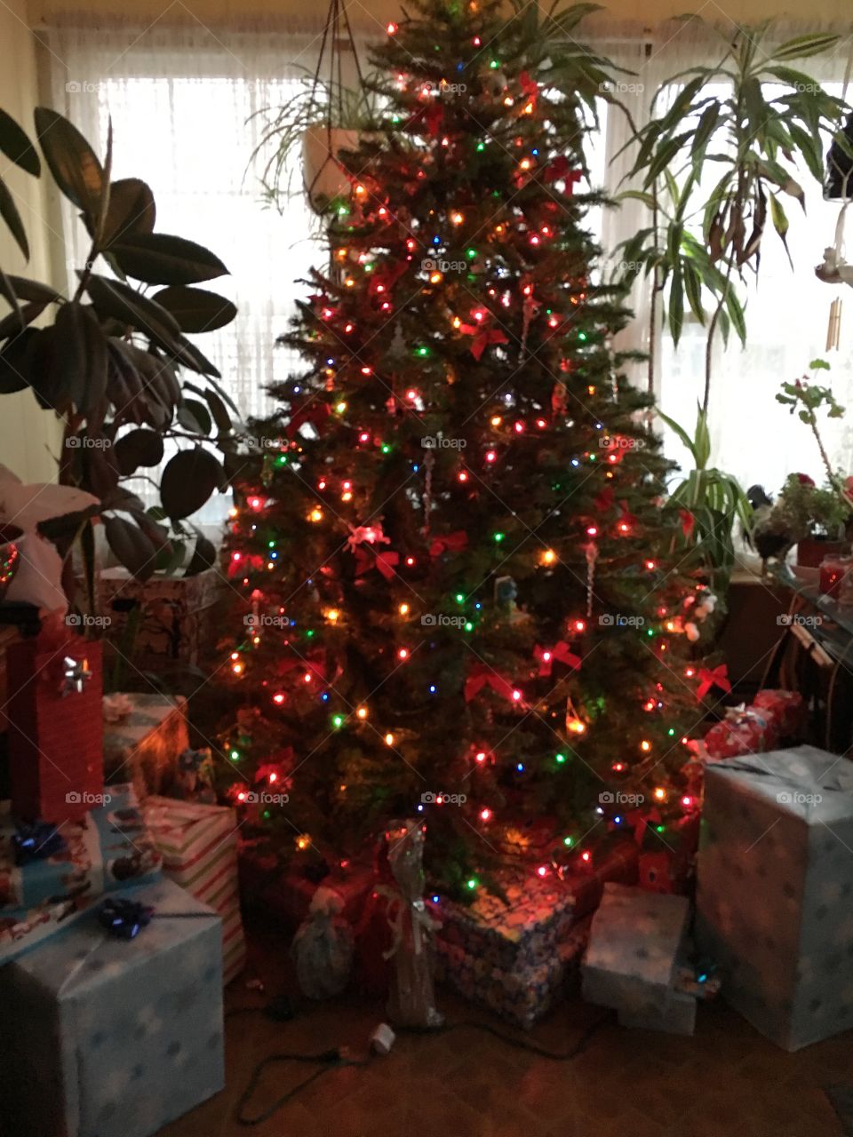 Christmas Tree View