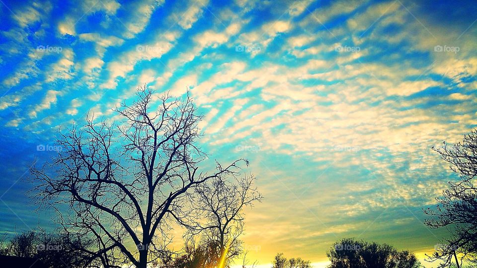 Beautiful view of a sunset