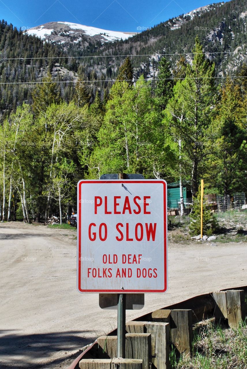 old deaf folks and dogs 