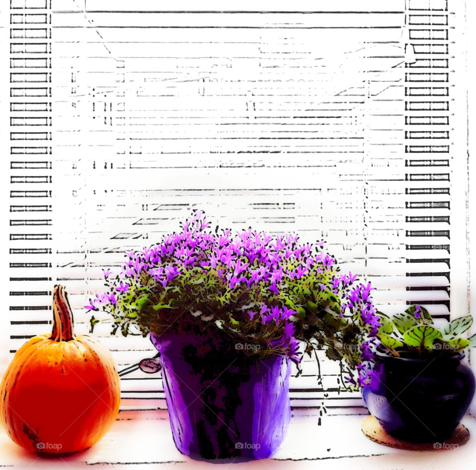 flowers purple pumpkin still life by IphonePhotographer