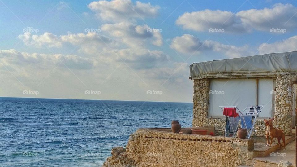 the peace of the ocean