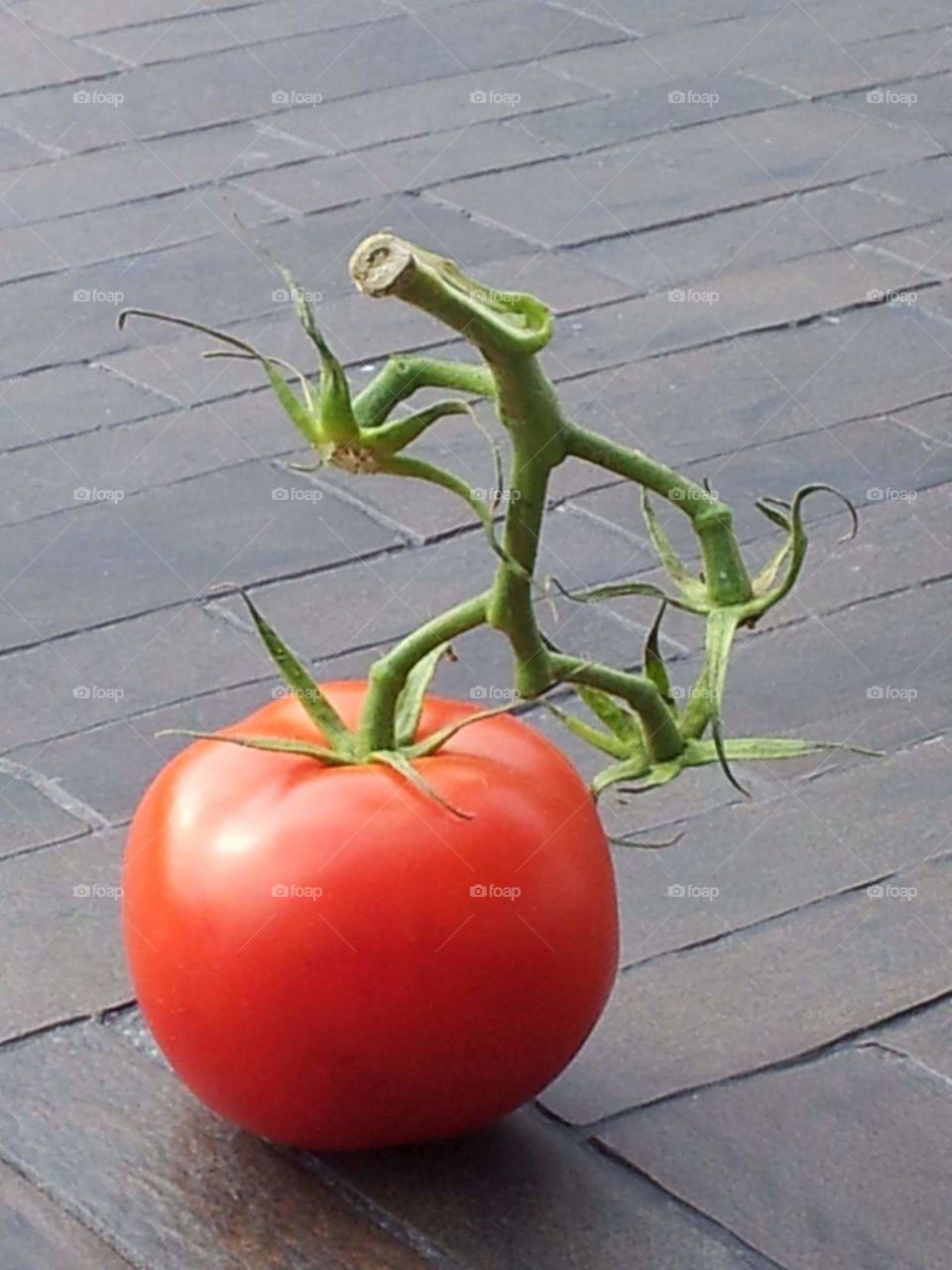 Tomato Run