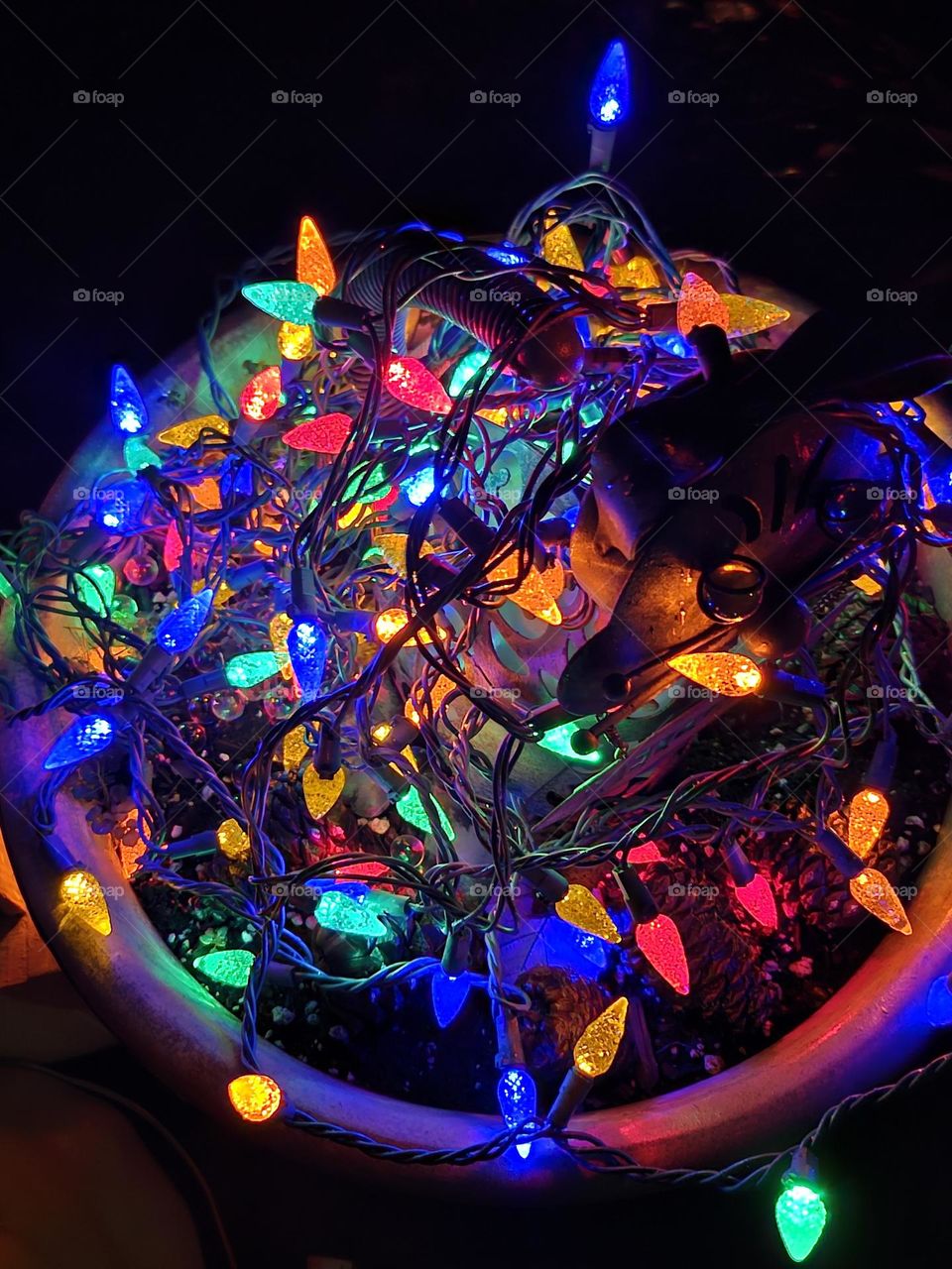 bucket of lights