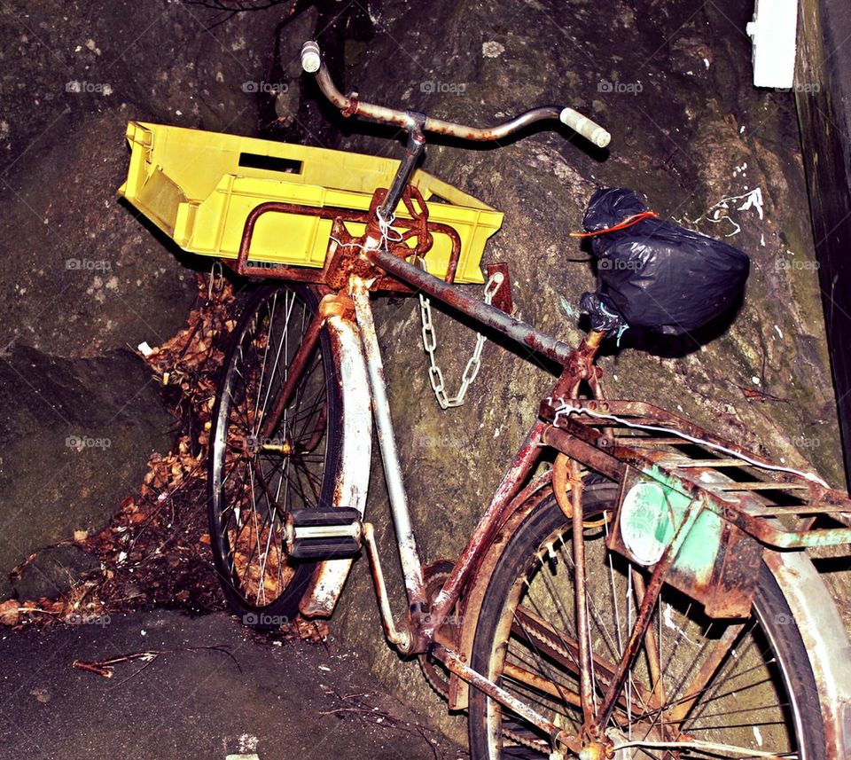 old leaves rusty rock by leta