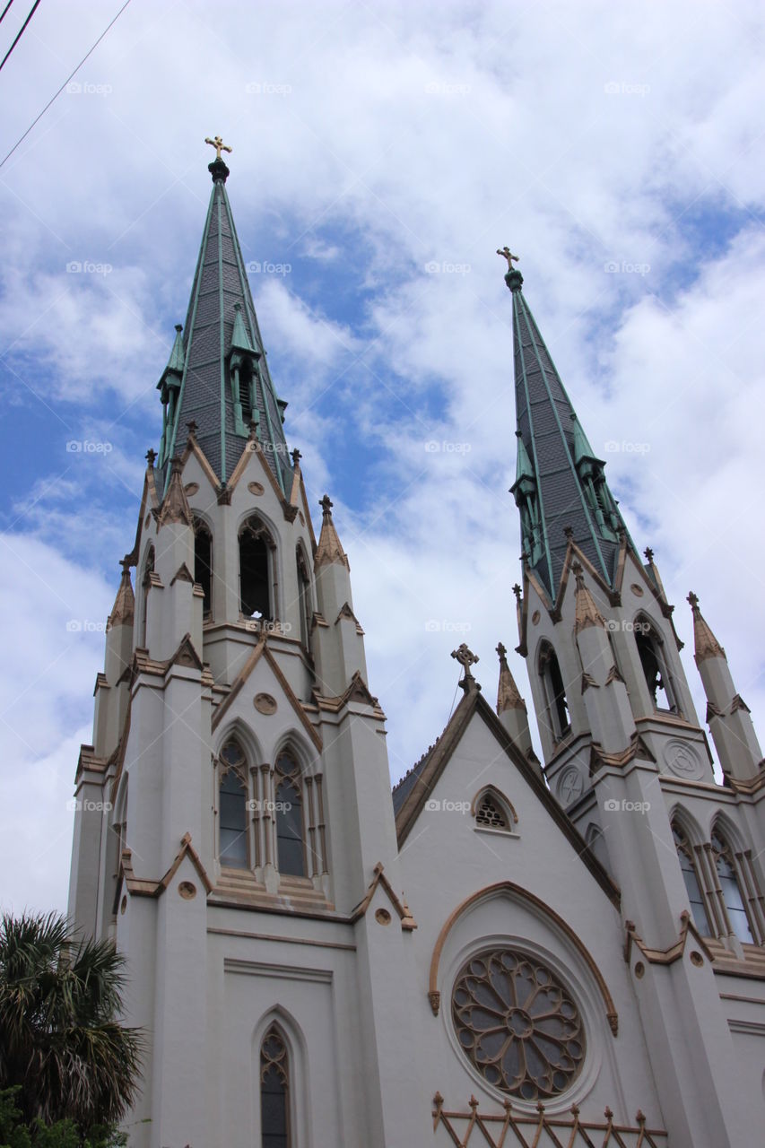 Savannah cathedral 