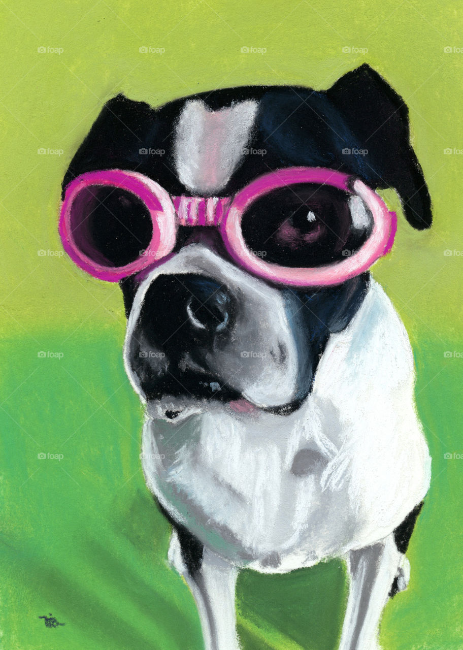 Boston Terrier painting