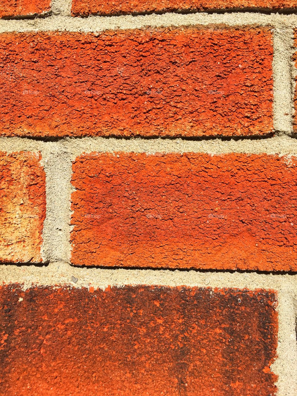 Colourful brick wall up close