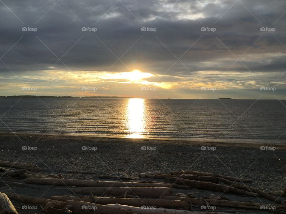 Driftwood on beach