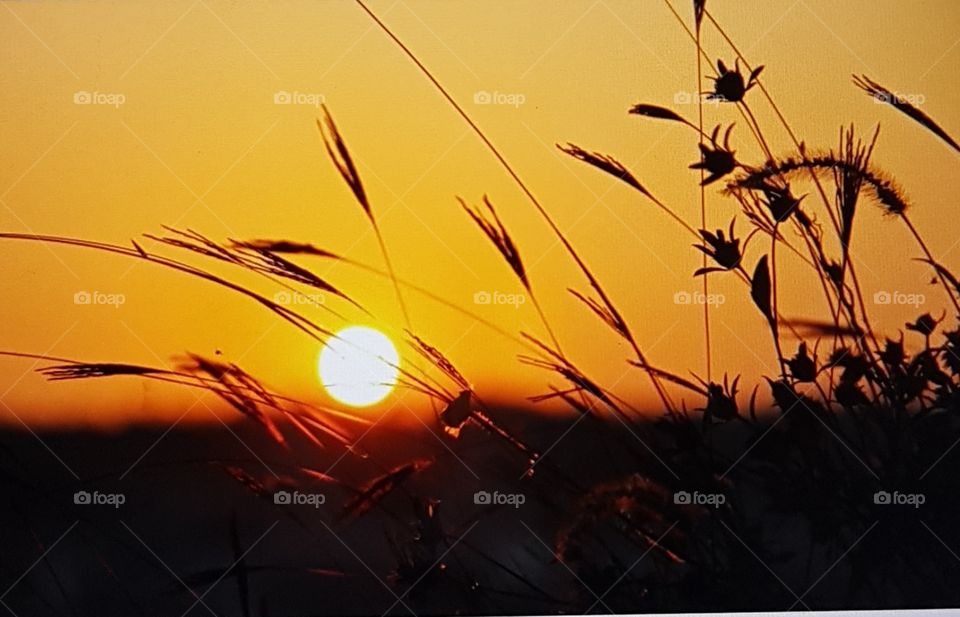 beautiful afternoon sky