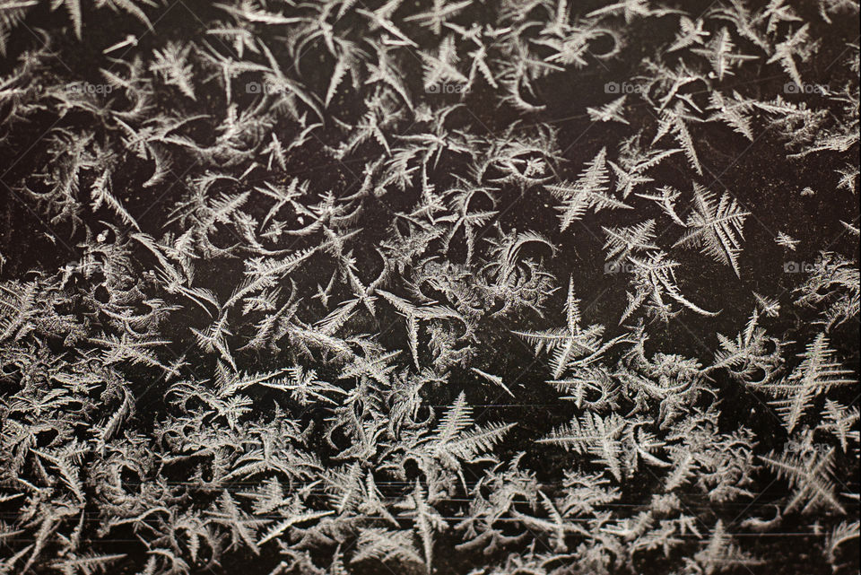 Winter patterns on glass