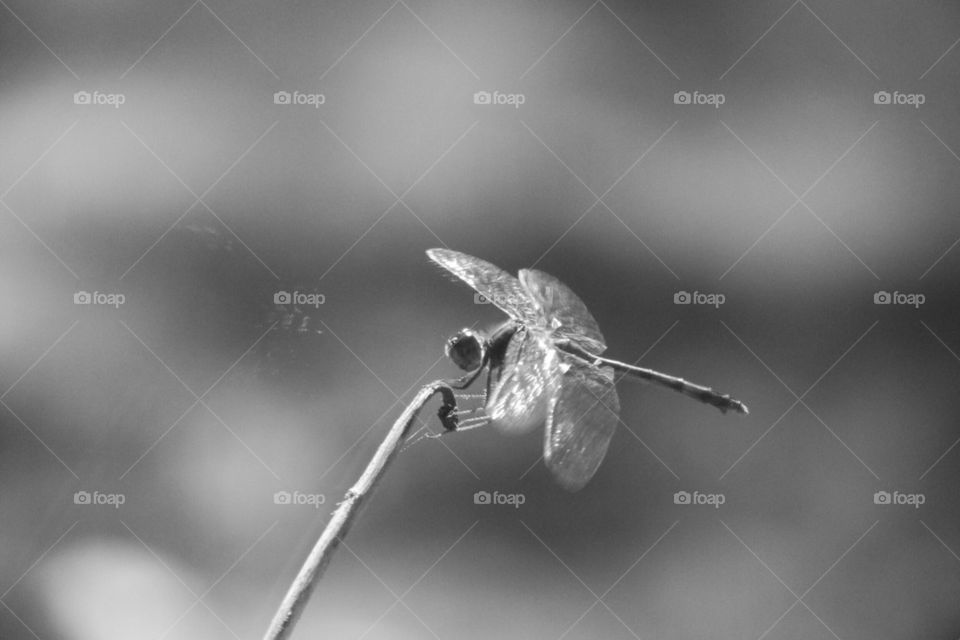 It's the Small Things #2