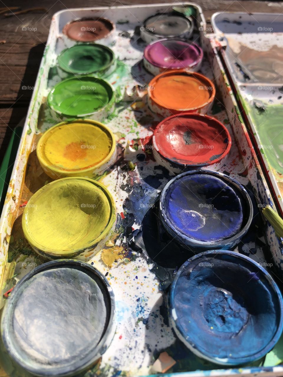 Watercolor paint palette