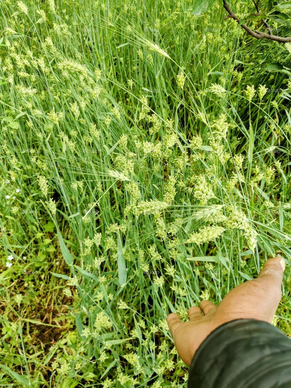 Out in nature's paradise