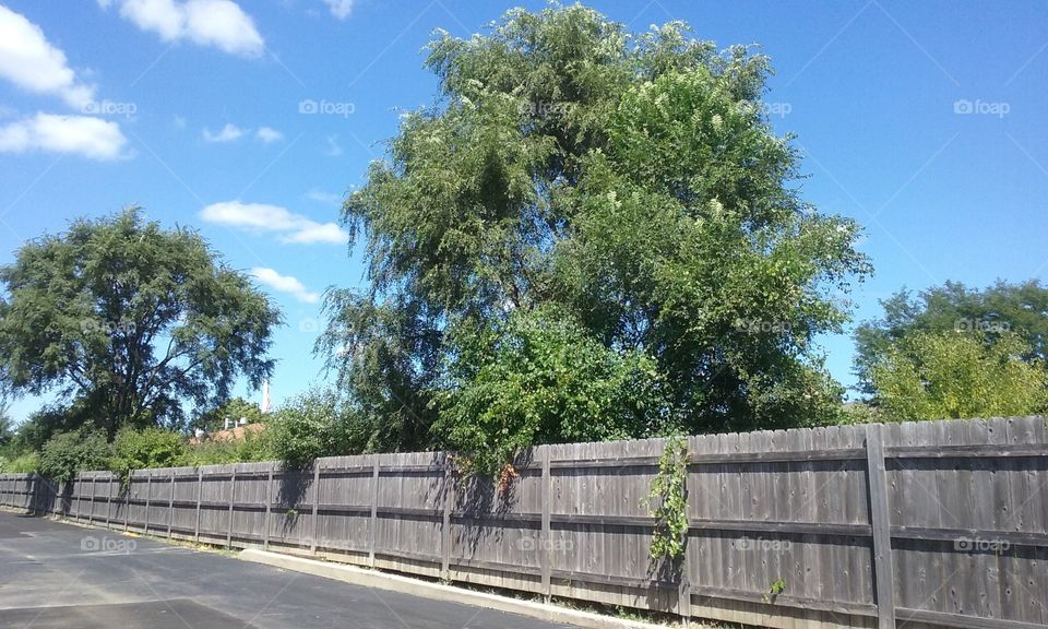 Beauty behind walgreens!