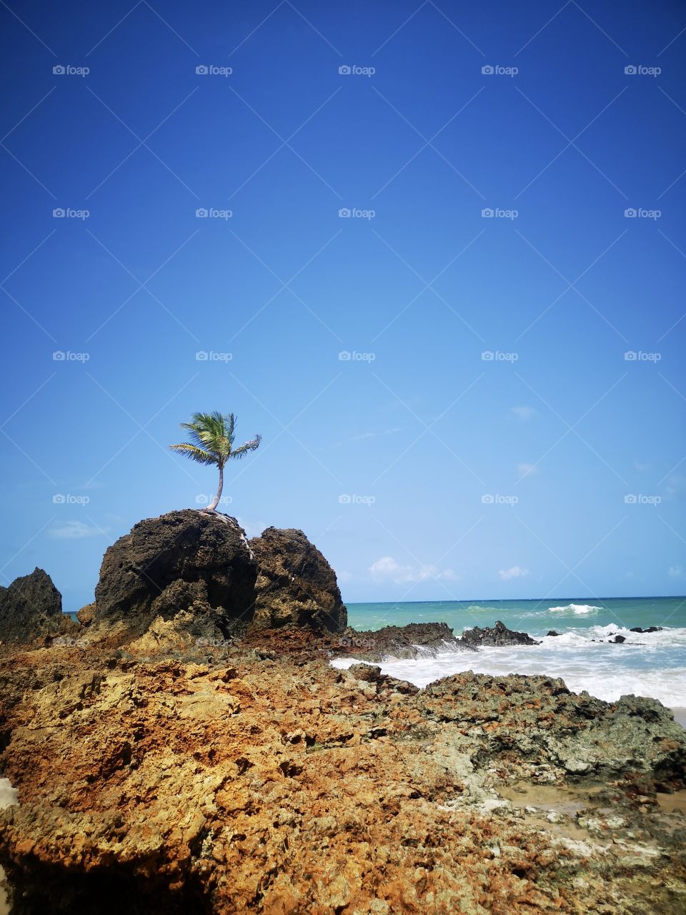 Paradise is paradise