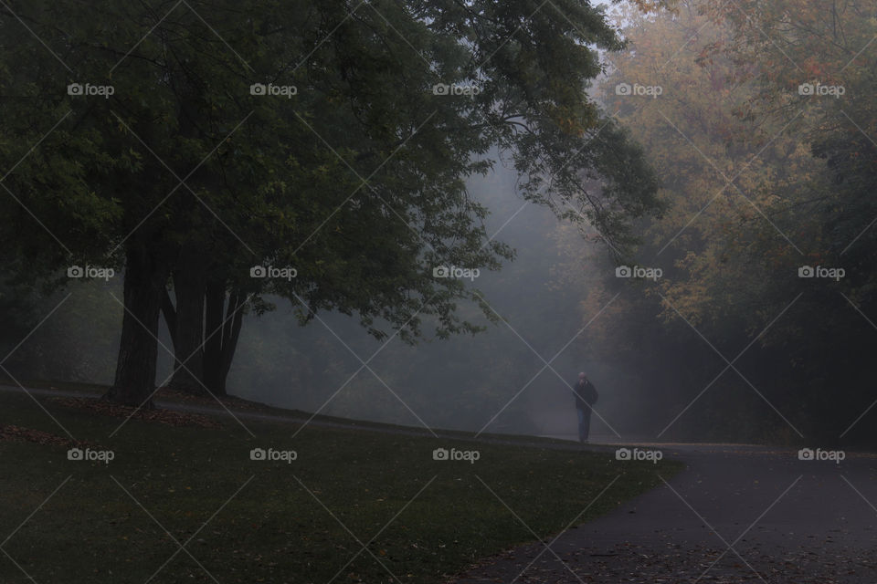 Walking in a foggy morning