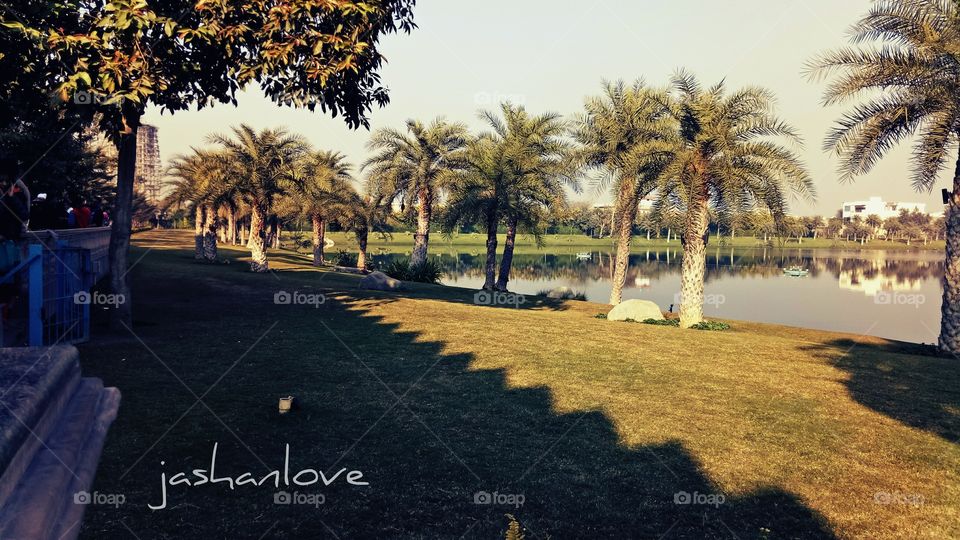 No Person, Tree, Travel, Outdoors, Summer