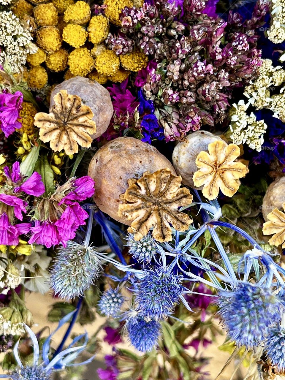 Bouquet of wild flowers. Dried flowers. Background