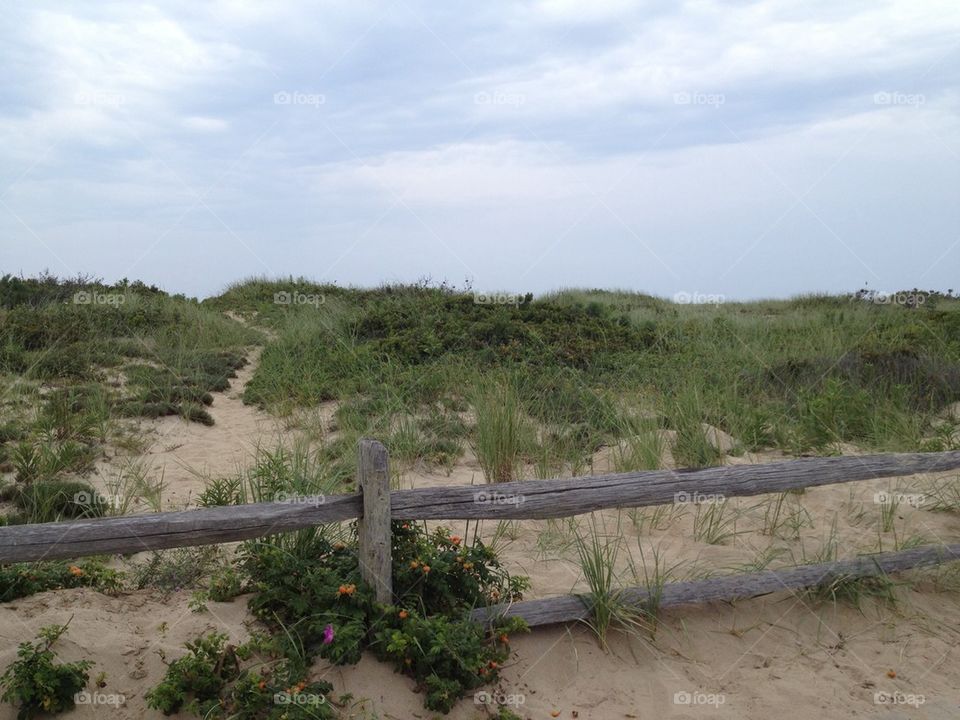 Cape Cod National Sea Shore