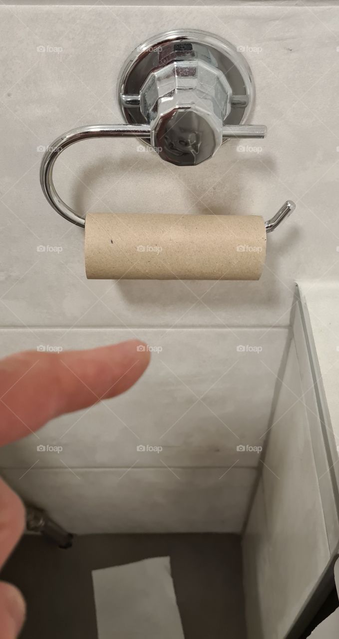 dame no toilet paper