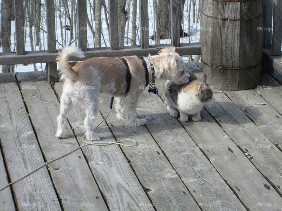 We've got our eyes on you, pal