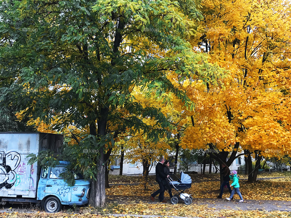 Walking in the city under the trees with yellow autumn leaves 