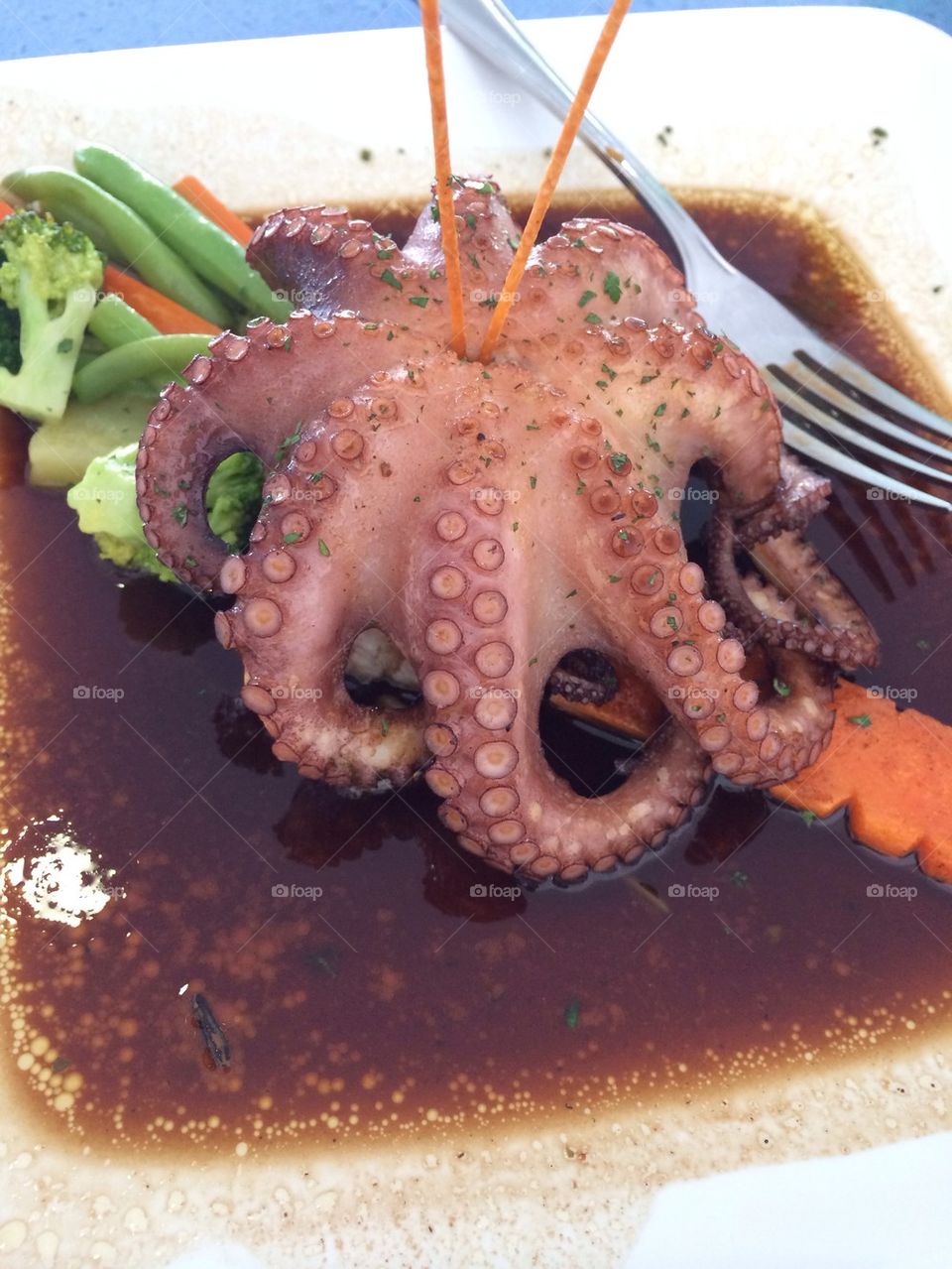 Octopus