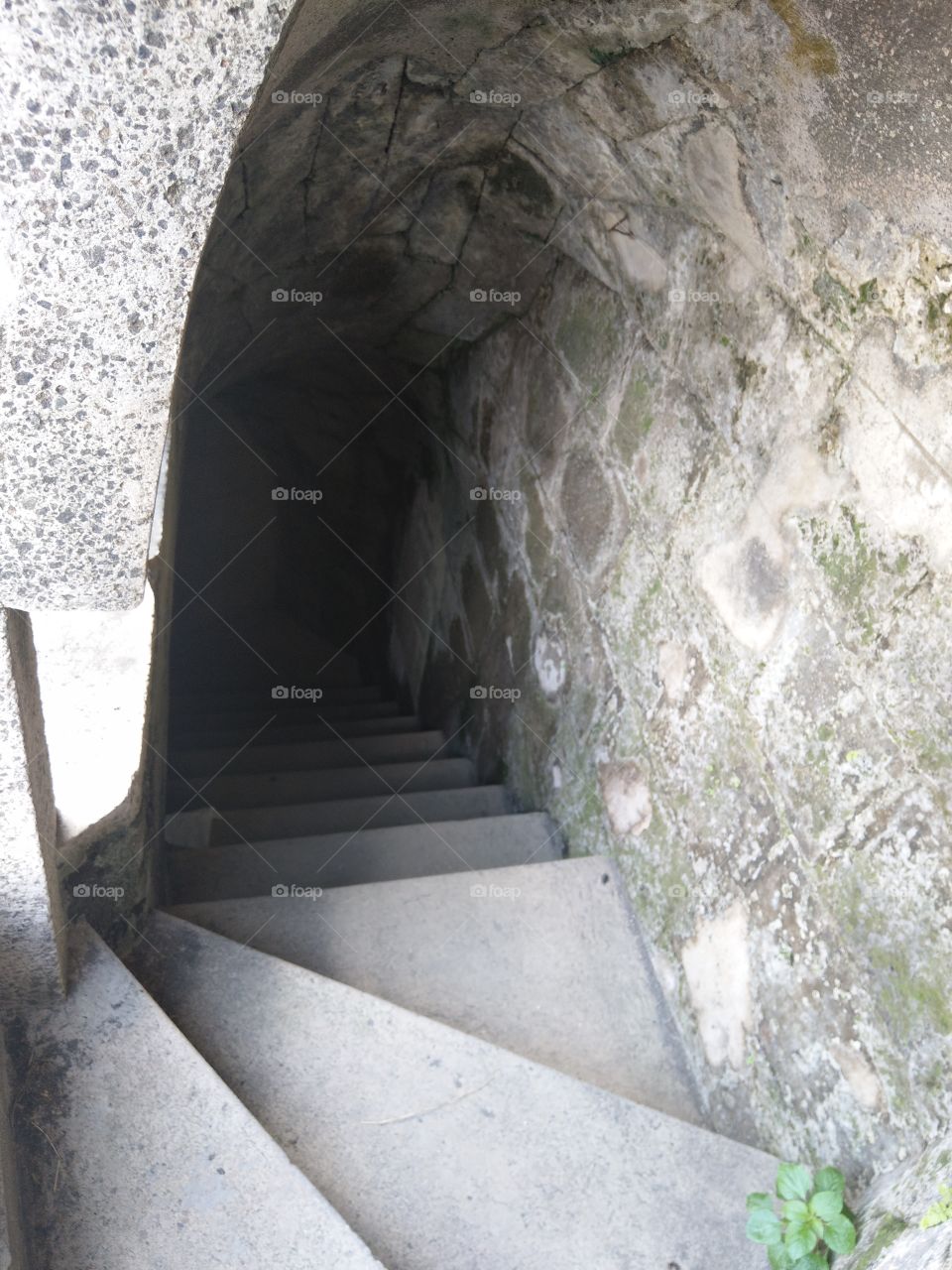 stairs to an unknown place