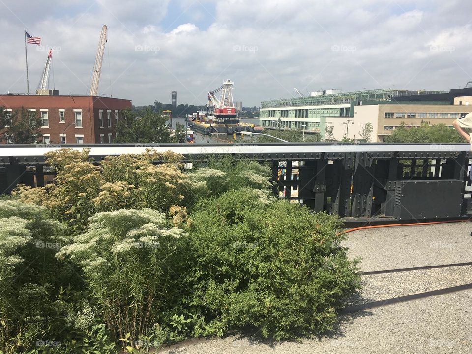 High Line em New York