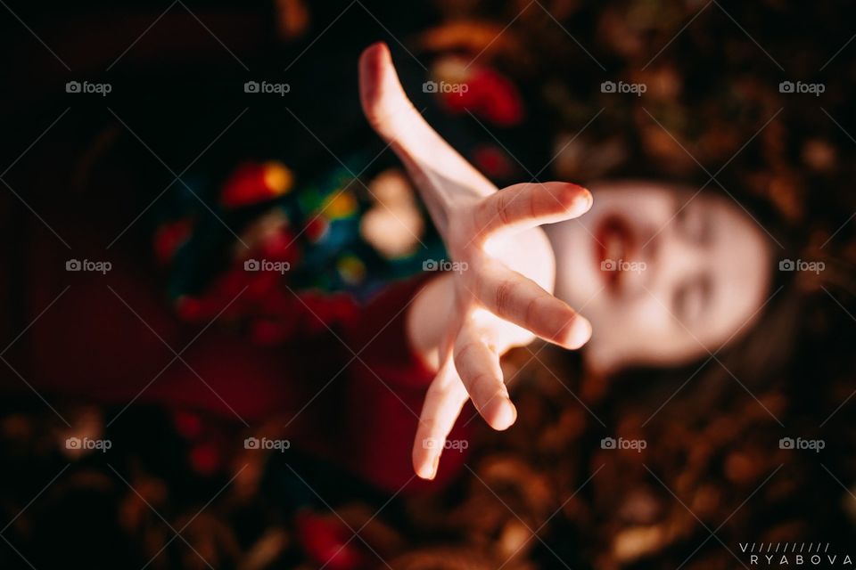 яркие краски осени