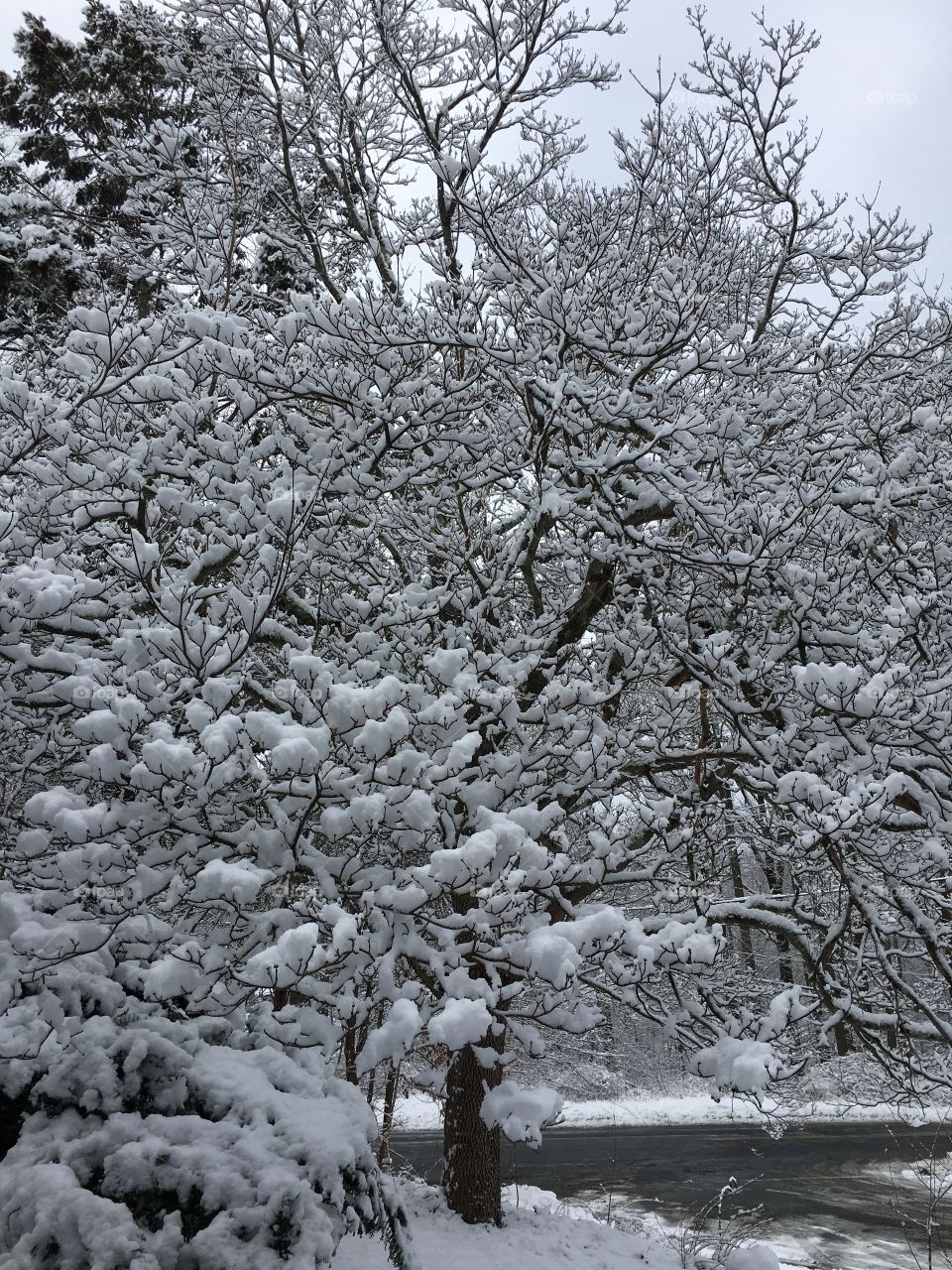 Snow in Connecticut - Feb. 2018
