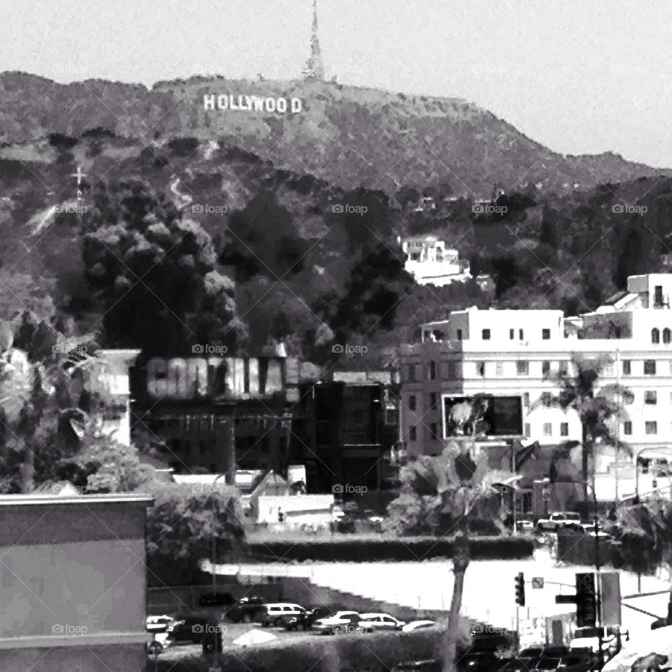 Hollywood