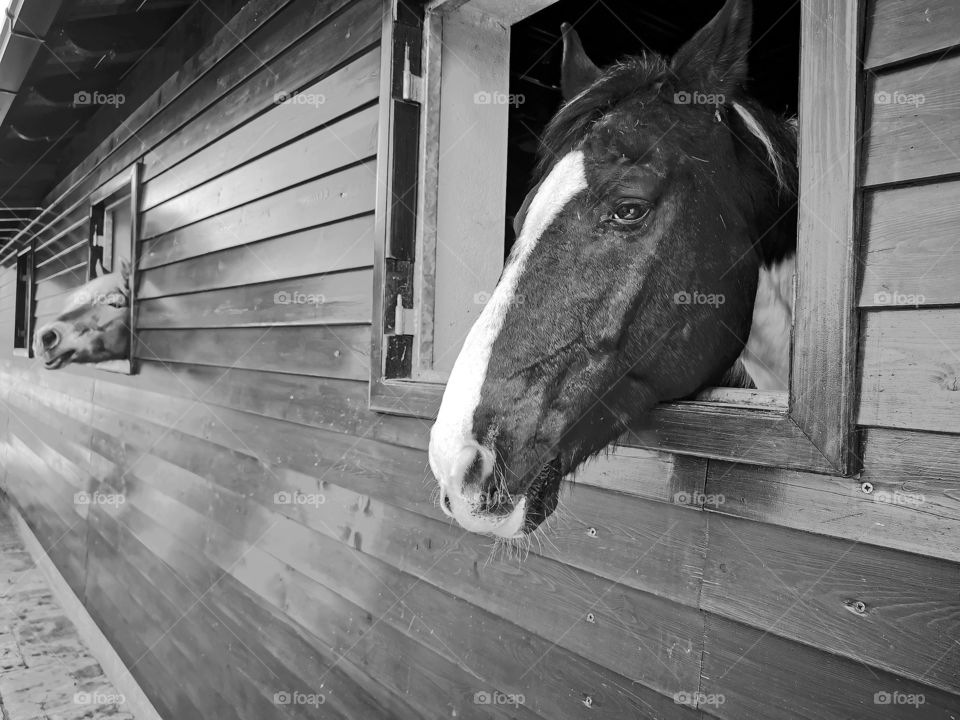 It's raining outside