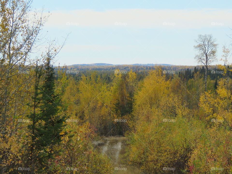 A trail overlooks the landscape covered in fall colours. 