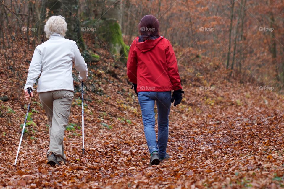 Autumn Forest Walk